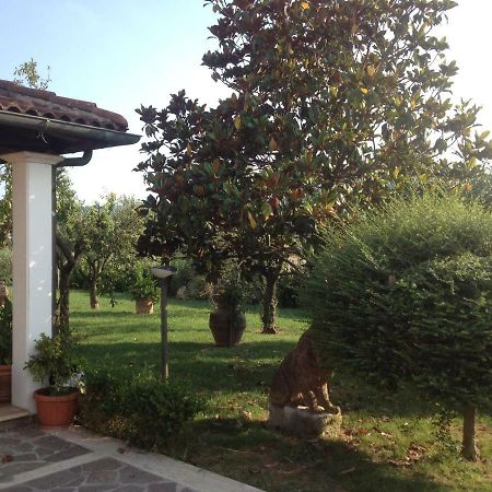 La Spiga Bed & Breakfast Rieti Dış mekan fotoğraf